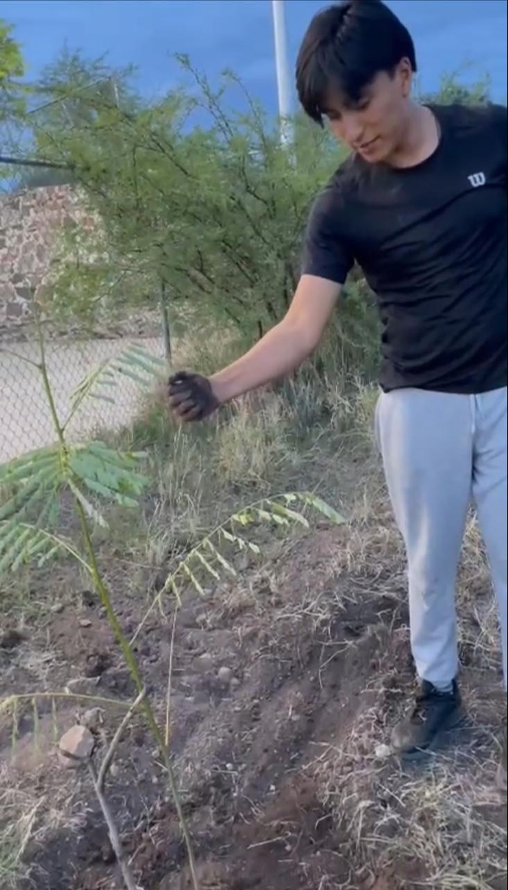 Voluntario plantando un arbolito en zona deforestada